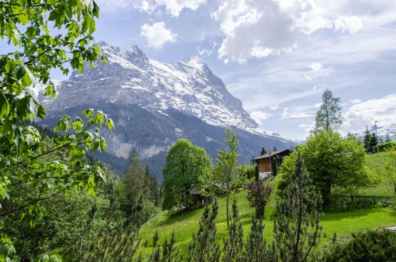 Apartment Muehlegaden - Griwa Rent Ag Grindelwald Exteriör bild
